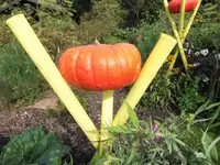 Bilda096.webp