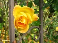 IMG_5893.webp