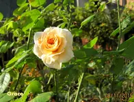 IMG_5895.webp
