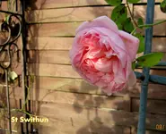 IMG_5896.webp