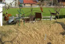 IMG_8980-a.webp