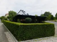 DSCF9288.webp