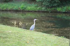 IMG_9293-001.webp