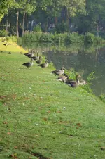 IMG_9295-001.webp