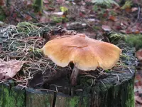 001_1024x768.webp