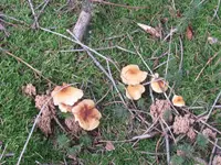 008_1024x768.webp