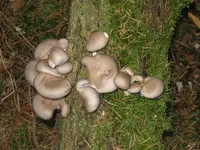 010_1024x768.webp