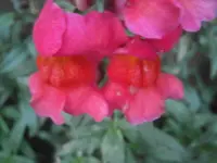 PB080854.webp