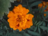 PB080860.webp