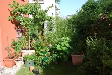 DSC_5_0553.webp