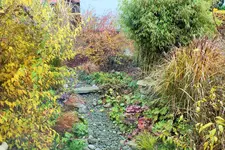 DSCF4530 (2).webp