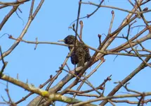 IMG_8307-a.webp