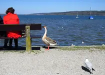 IMG_3146-a.webp