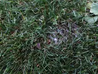 IMG_0947.webp