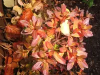 Bilda004.webp