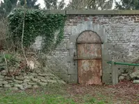 image.webp