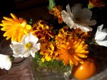IMG_20151110_215551.jpg