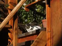 DSCF4007.webp