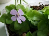 DSCF4012.webp