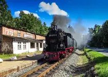 IMG_5488-Rasender-Roland-in-Philippshagen-a-2.webp