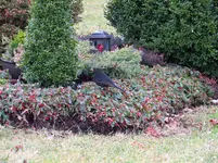 IMG_7175.webp