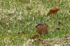 IMG_7313-a.webp