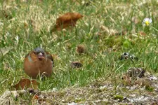 IMG_7314-a.webp
