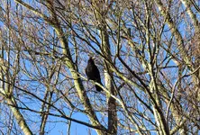 IMG_6313-1.webp