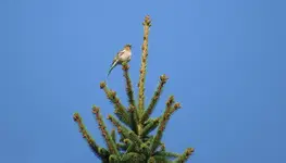 IMG_5692-a.webp