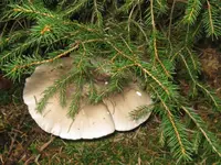 001_1024x768.webp
