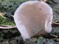 009_1024x768.webp