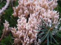 007_1024x768.webp