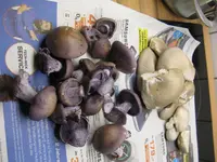 015_1024x768.webp