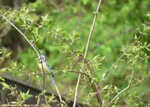 IMG_5914-a.webp