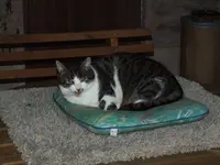 DSCF4018.webp