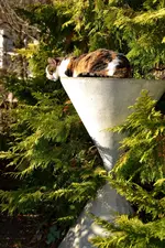 Blumenersatz_0001.webp