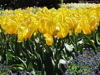 IMG_6500v.webp