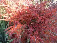 BILD4736.webp