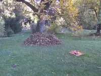 BILD4747.webp