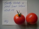 Tomaten 2015 225.jpg