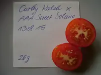 Tomaten 2015 243.webp