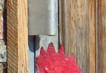 IMG_8626-a1.webp