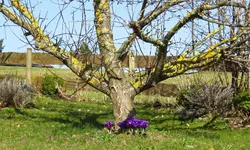 IMG_8192-a.webp