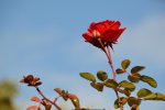 DSC_5714.jpg
