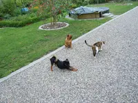0002.webp