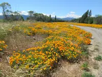IMG_1826.webp