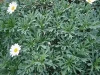 PB130869.webp