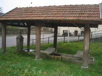 011.webp
