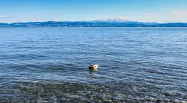 IMG_5499-1.webp