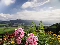 DSC00036-1-2.webp